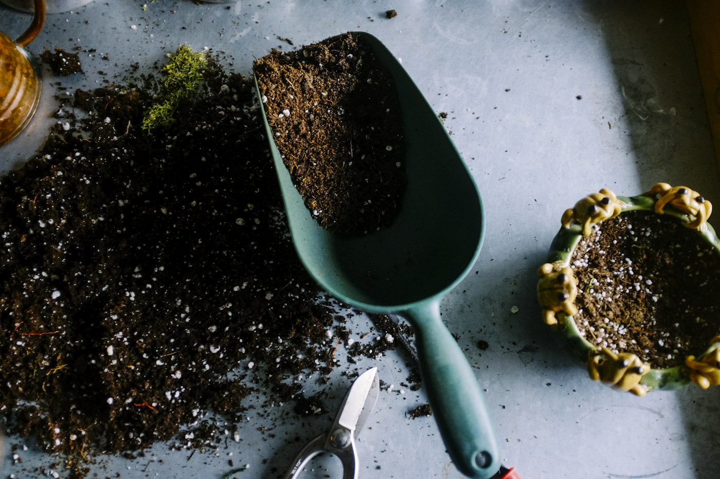 Gardening tools and soil for looking after plants